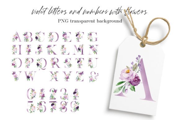 Alphabet, Violet Letters and Numbers for Graphics & Illustrations